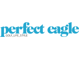 Logo: Logo: perfect eagle
